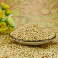 high quality white broom corn millet dry WELL POLISHED